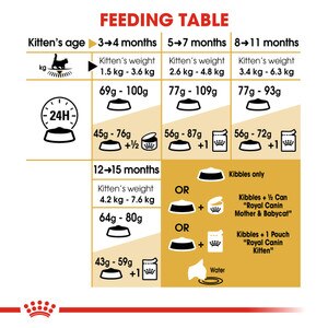 ROYAL CANIN® Maine Coon Kitten 10kg